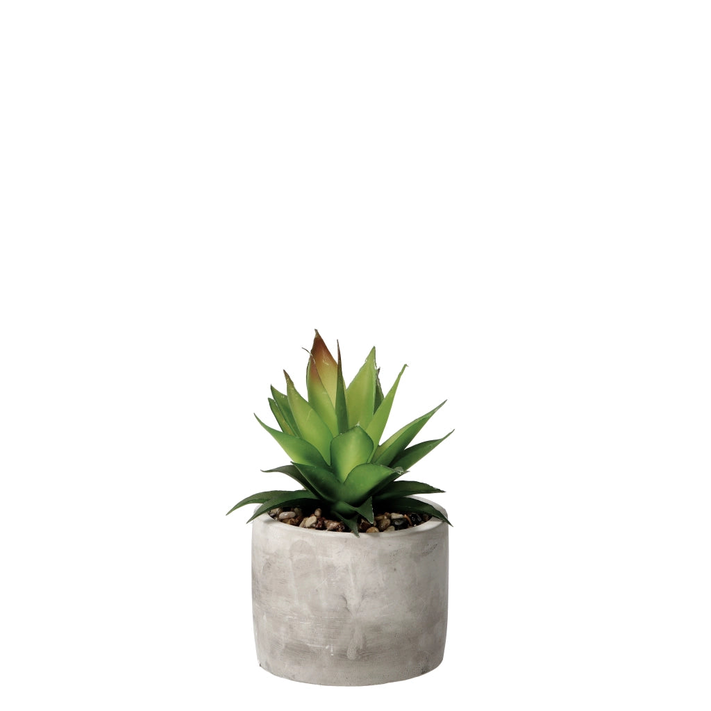 VASO CON PIANTA GRASSA DECORATIVA D.10XH18CM IN 2