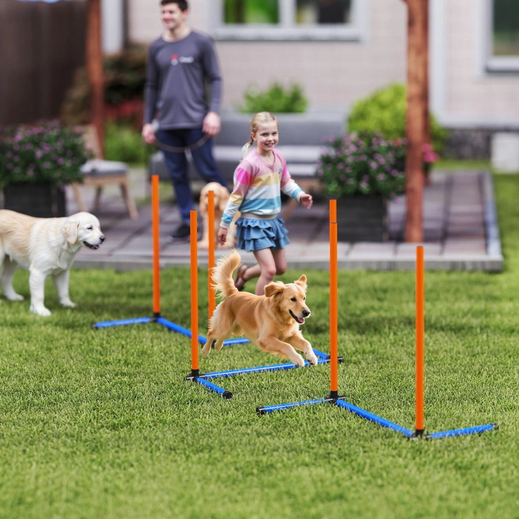 Set Agility per Cani ¨C Minimal ¨C 3 Pezzi con Slalom e Borsa Arancione