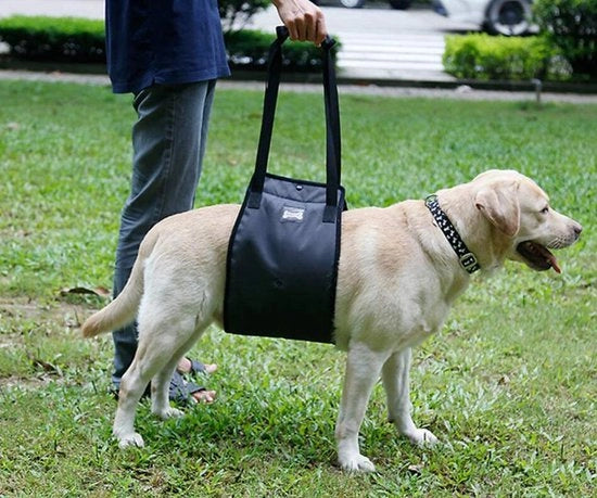 Assistente di deambulazione per cani con maniglia per infortunio e artrosi