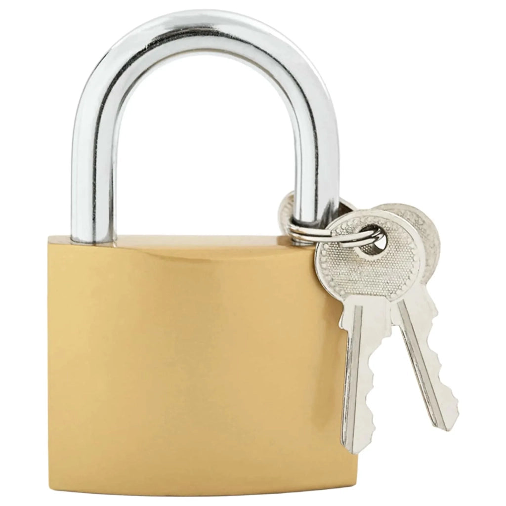 U Lock con Chiavi 100 pcs Ottone Ferro 3417318
