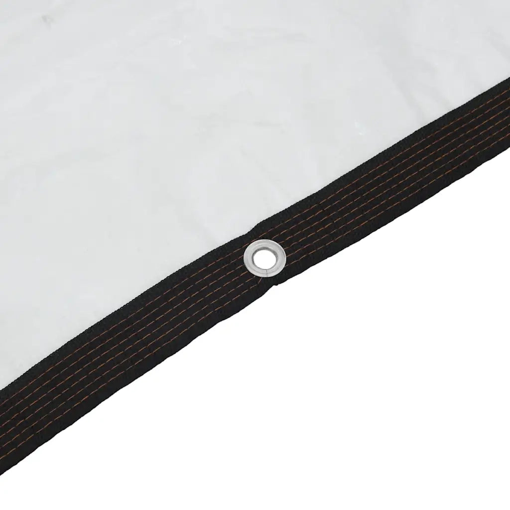 Telone Trasparente con Occhielli 4x6 m in Polietilene 4018564