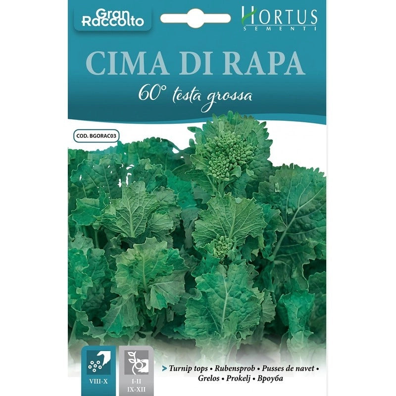 Cima di rapa 60 testa grossa Gran Raccolto