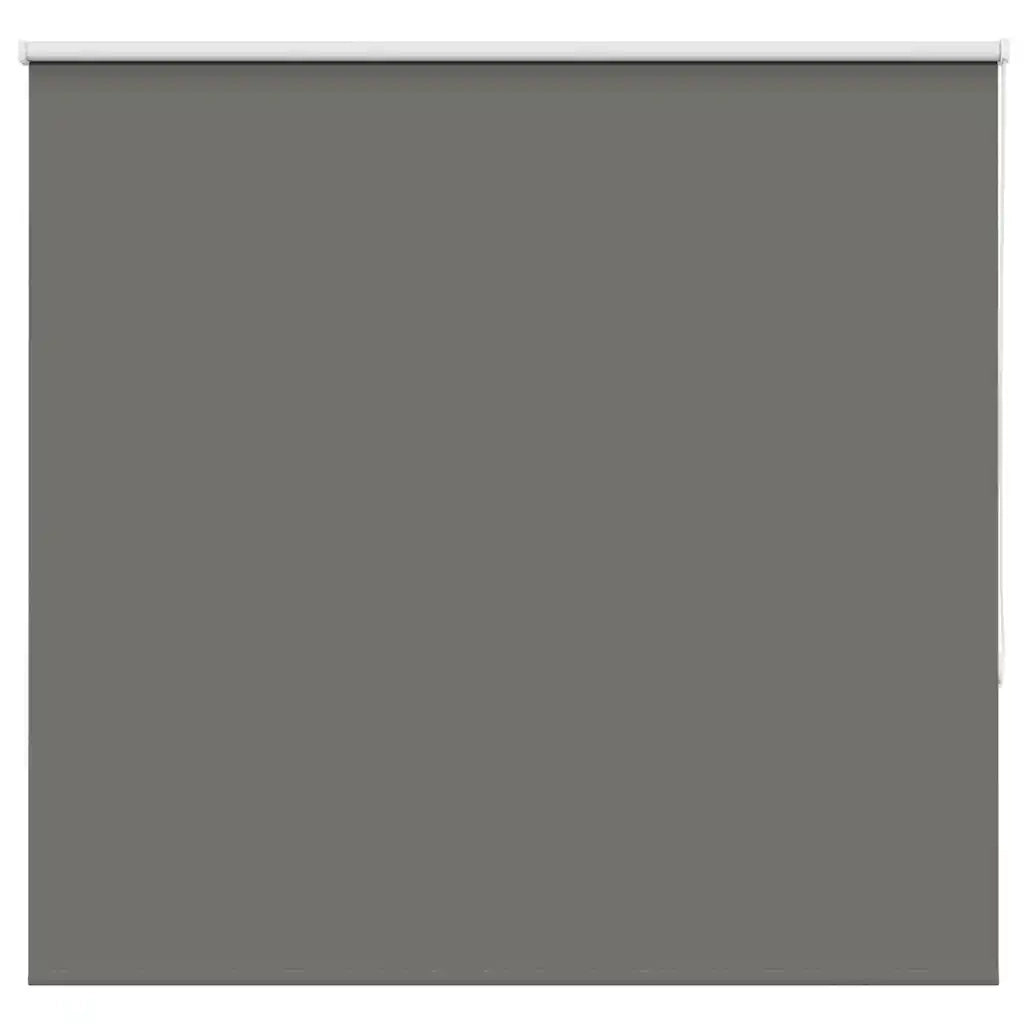Tenda a Rullo Oscurante-Tenda da sole a rullo 150x130 cm Larghezza Tessuto 146,6 cm 123087