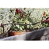 KIT MICRO IRRIGAZIONE Verdemax 9650