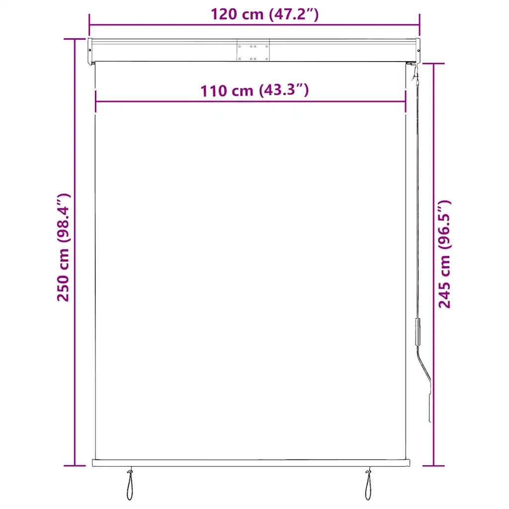 Tenda a Rullo per Esterni 120x250 cm Antracite 145964