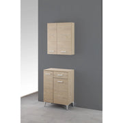 PENSILE 2 ANTE 60X18XH69,5CM ROVERE DOLOMITE.