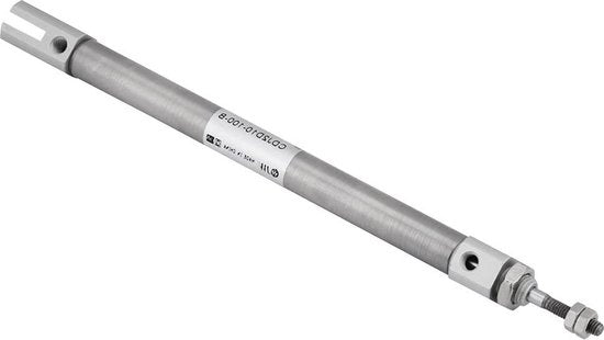 Cilindro Pneumatico d'Azione Doppia con Travaso 100 mm Compattabile in Acciaio Inossidabile CDJ2D10-100-B - Diametro della Stanga 10 mm
