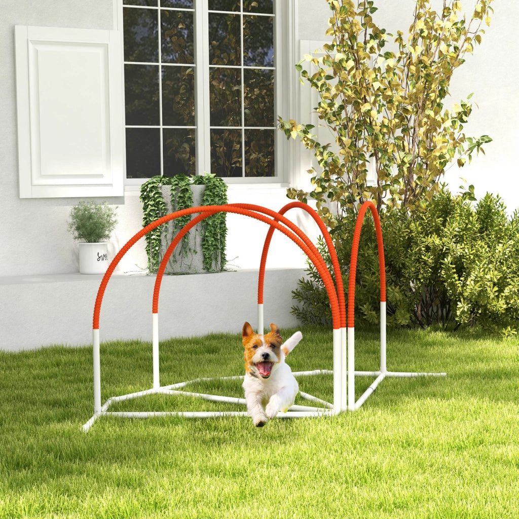 Kit di Agility per Cani ¨C Minimal ¨C 4 Pezzi con Borsa da Trasporto