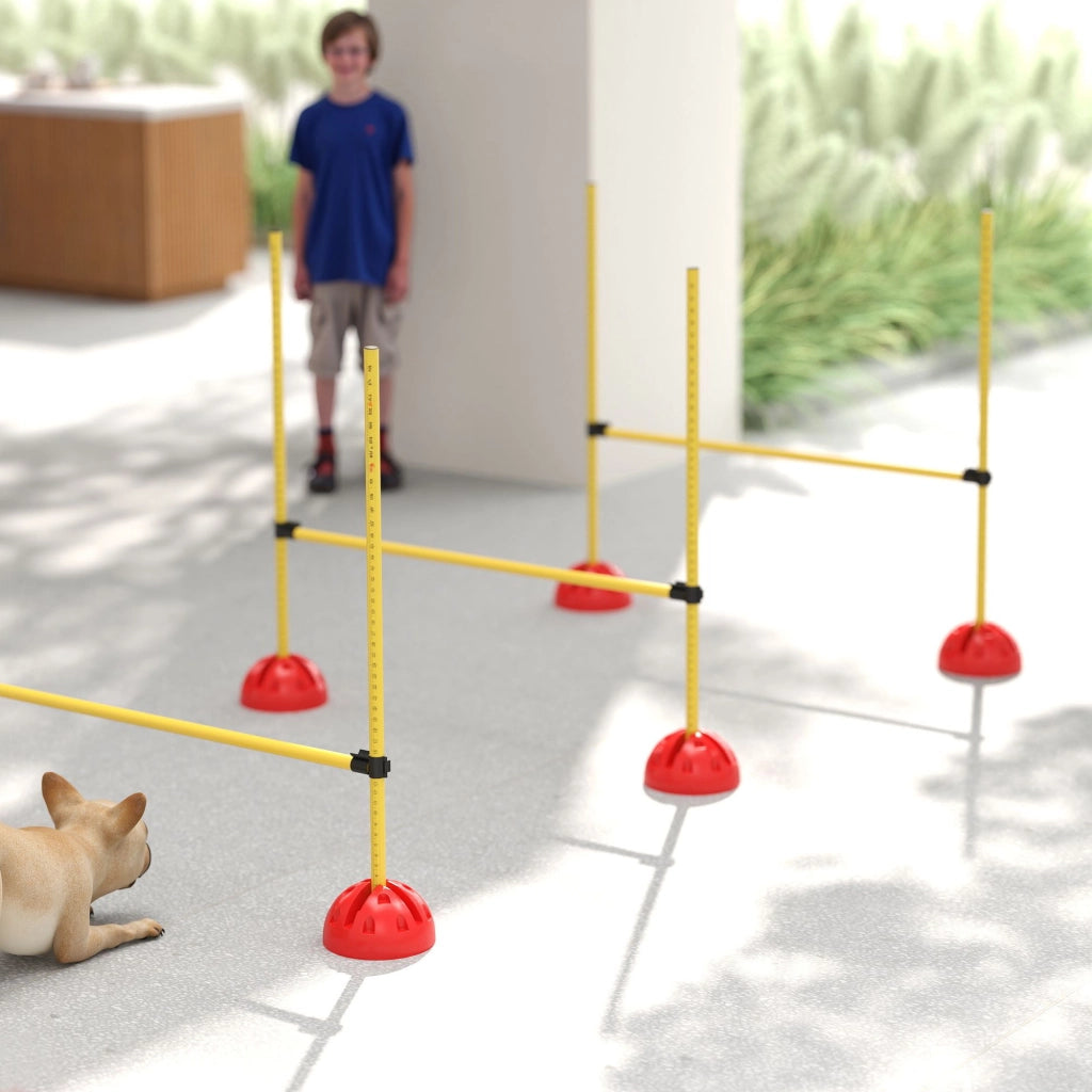 Set Agility per Cani 4 Pezzi ¨C Xylo ¨C con 4 Ostacoli e Borsa per Trasporto, Giallo