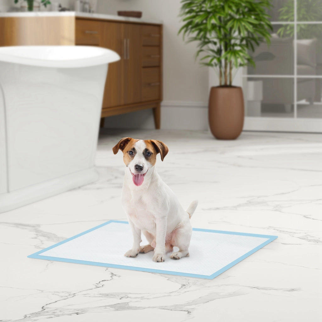 Tappetini Igienici per Cani ¨C zephmum ¨C 45x60 cm, Blu e Bianco, 100 Pezzi