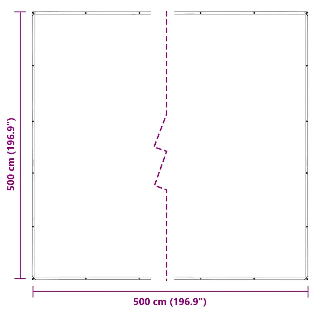 Telone Trasparente con Occhielli 5x5 m in Polietilene 4018524