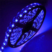 Striscia led 12v 60 led/mt IP65 colore luce blu