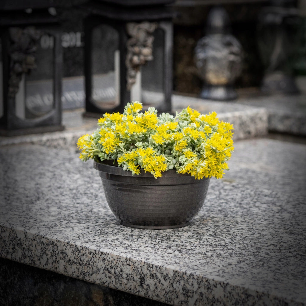 Vaso da fiori in plastica KADAX per cimitero, ideale per crisantemi, 20 cm.