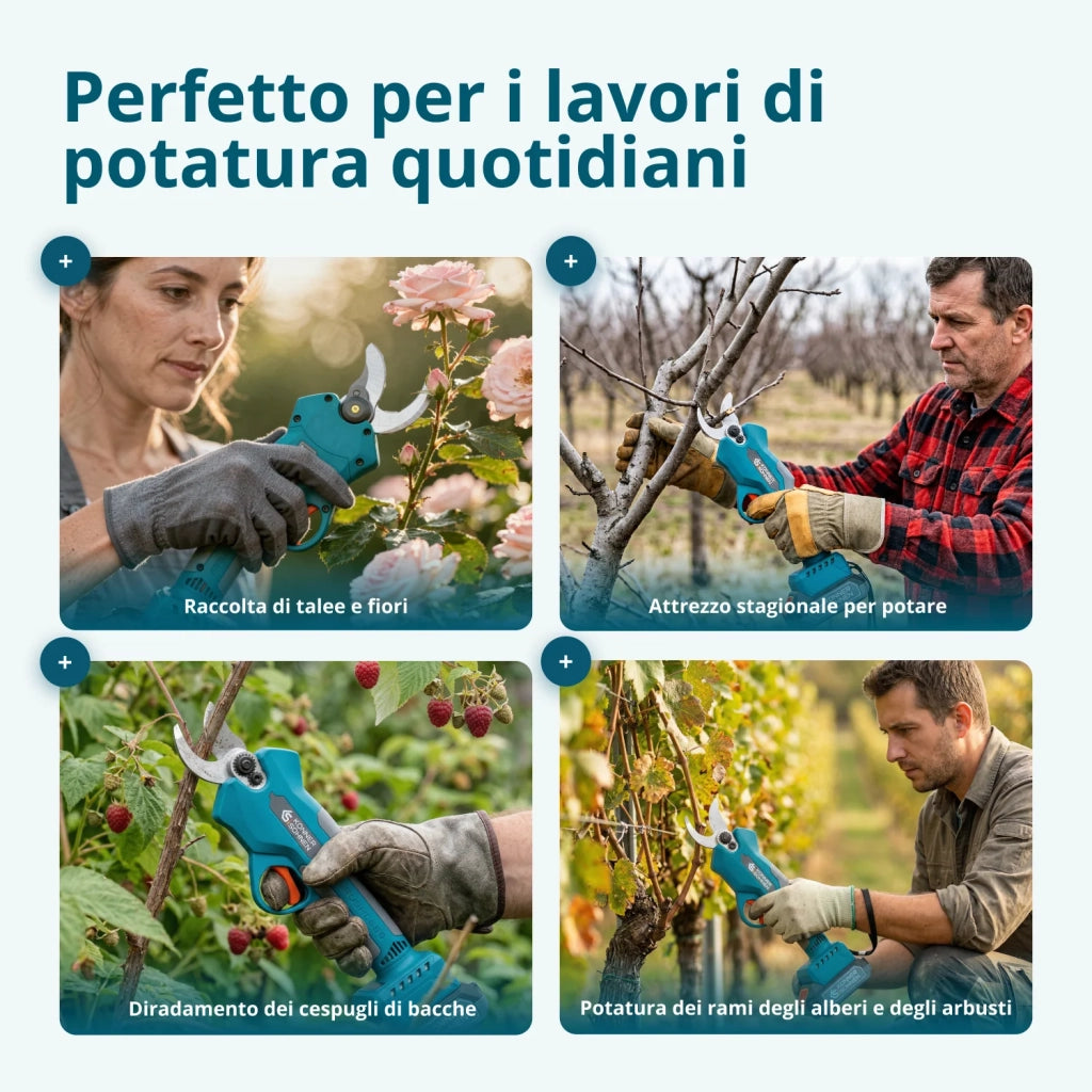 Kit Promozionale di Potatura KS MCS-CSP-SET