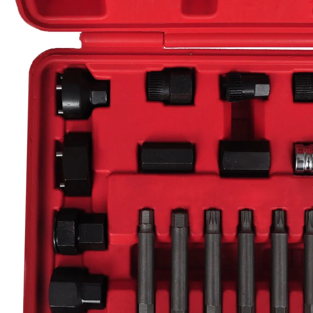 Set per Rimozione Ruota Libera Alternatore 22 pz 210120