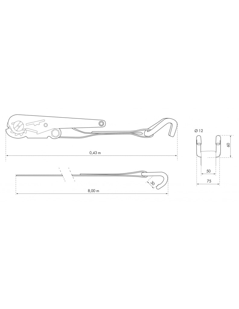 Cinghia a cricchetto rivestita, 50 mm x 8 m, con gancio – THIRARD