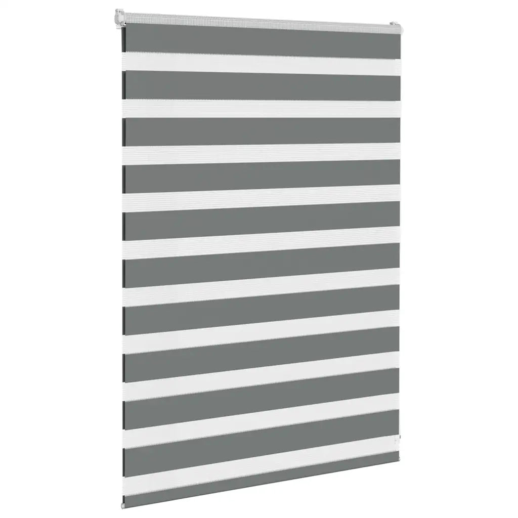 Tenda a rullo | Tenda avvolgibile Zebra Larghezza Tessuto 100,9 cm Poliestere