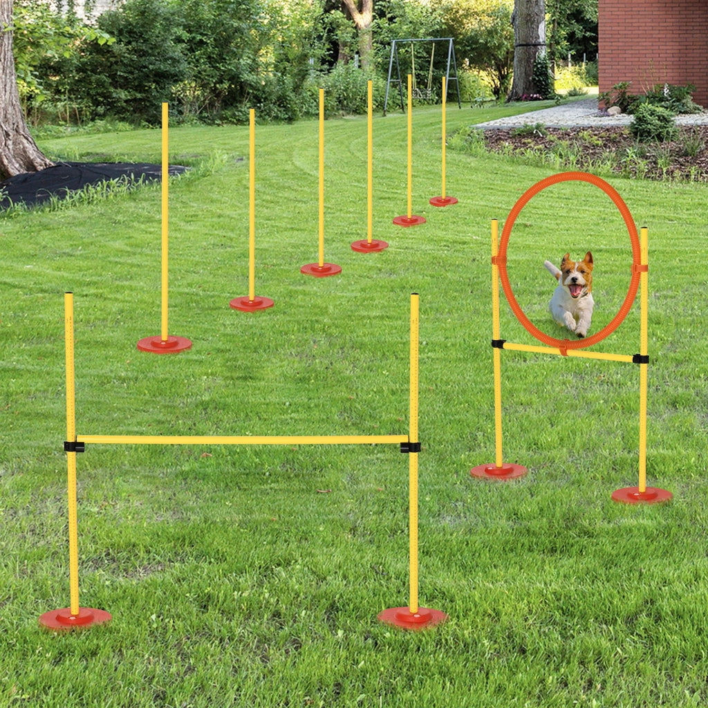 Set Agility Dog 3 Esercizi Slalom Ostacoli Anello ¨C Minimal ¨C Giallo e Rosso