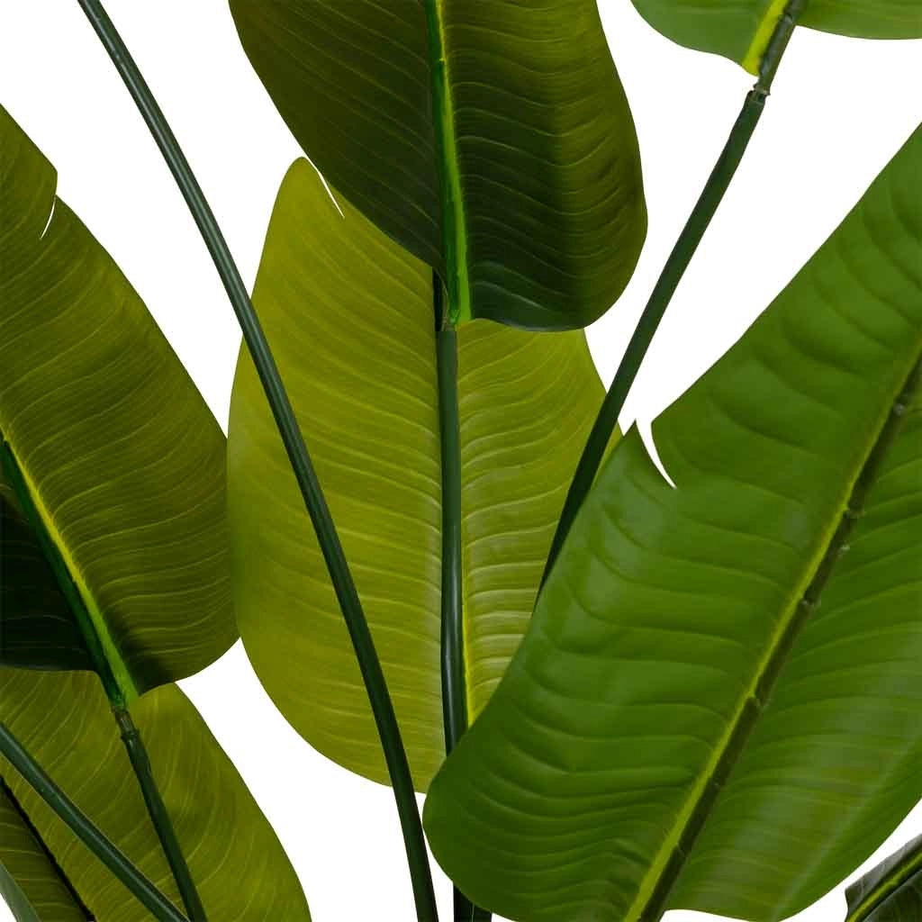 Sterlitzia decorativa artificiale verde 80x80x180