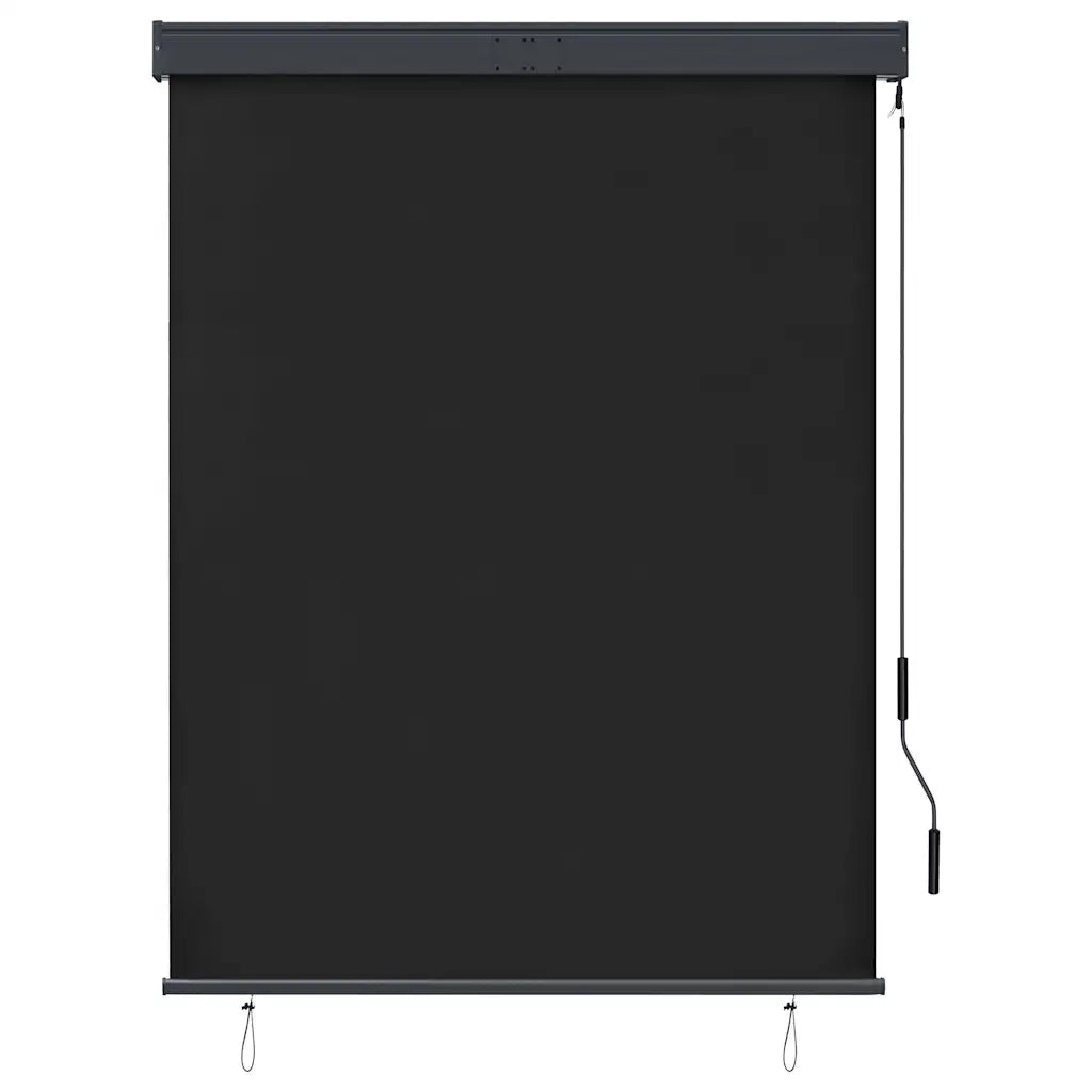 Tenda a Rullo per Esterni 120x250 cm Antracite 145964