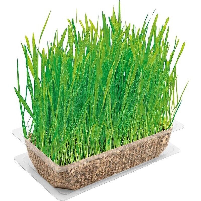 VITAKRAFT ERBA GATTA PRONTA IN CONFEZIONE D A 120 GR