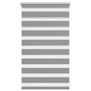 Tenda a rullo | Tenda avvolgibile zebra 50,9x100 cm Tessuto Larghezza 46,7 cm grigio