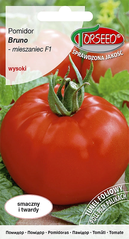 Pomodoro alto (al coperto e in terra) Bruno F1 0,1 g