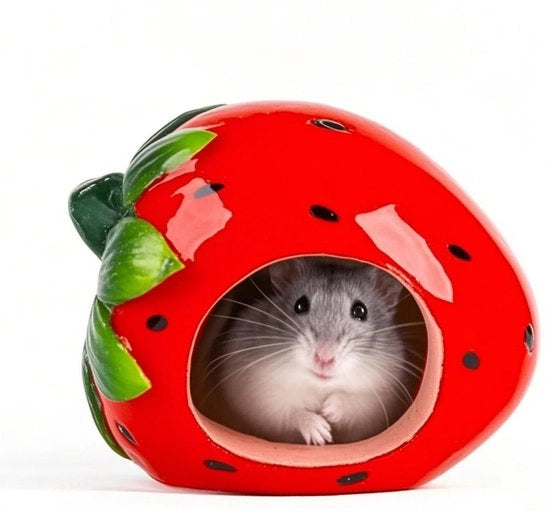 Casa per Hamster - Forma di Fragola - Casa con Ombra - Carina e Spaziosa - Casa in Ceramica - Nascondiglio per Piccoli Animali - Adatto per Hamster - 12x9x9 cm
