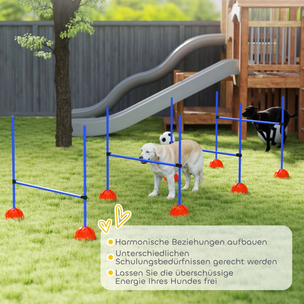 Set Agility per Cani con 4 Ostacoli e Borsa ¨C Zephmum ¨C Blu