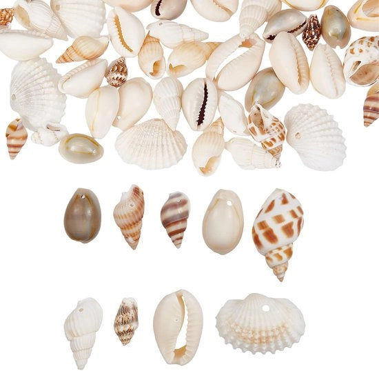 72 pezzi di appoggi schelpa naturali per gioielli e decorazione