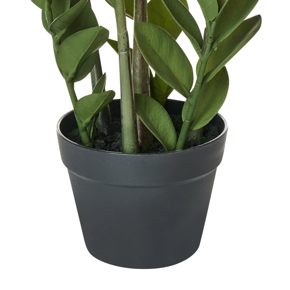 Pianta artificiale in vaso Zamiifolia Materiale sintetico verde e nero 76 cm Accessorio decorativo per interni
