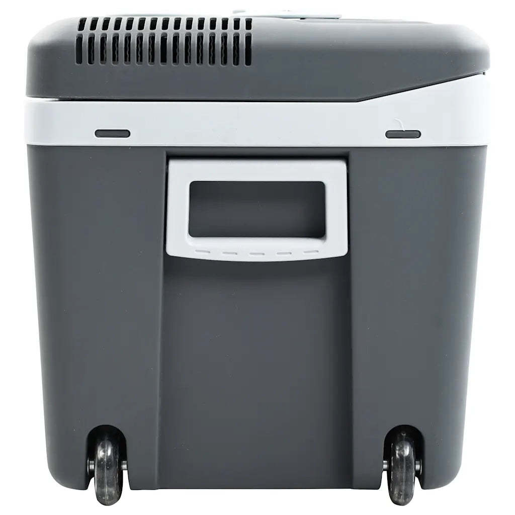 Scatola Termoelettrica Portatile 40 L 12 V 230 V E CFW4390024