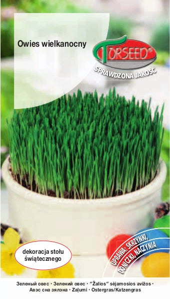 Avena pasquale "verde" 10g