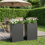 Vaso da giardino 2 pz Nero 40 x 20 x 75 cm 8005429