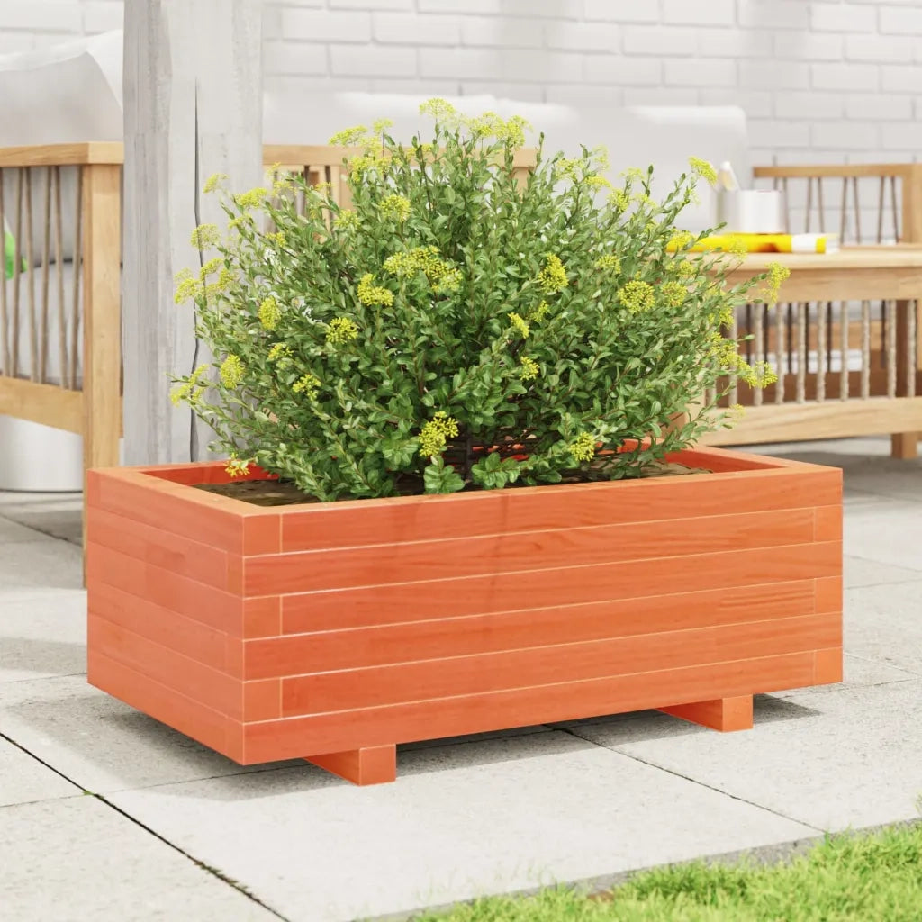 Fioriera | Cassetta per fiori | Vaso Giardino Marrone Cera 70x40x26,5cm Legno Massello Pino