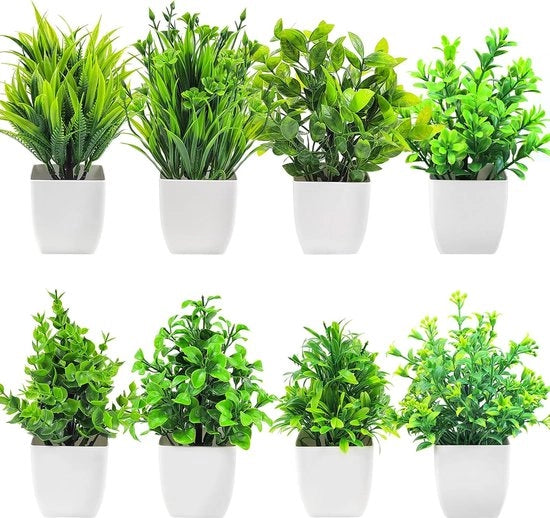 Set di 8 Piante Miniaturne con Vaso per Diverse Ambienti Interni