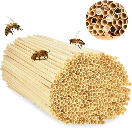 Kit di nidificazione per insetti - 500 pezzi - 14,5 cm alto - Tarro di sostegno - Facile da realizzare - Ecologico
