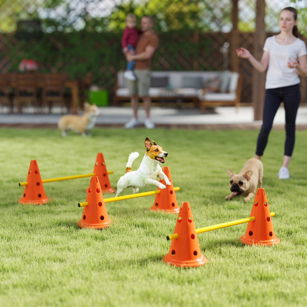 Set Agility per Cani 3 Pezzi ¨C Xylo ¨C con 6 Coni 3 Ostacoli e Borsa