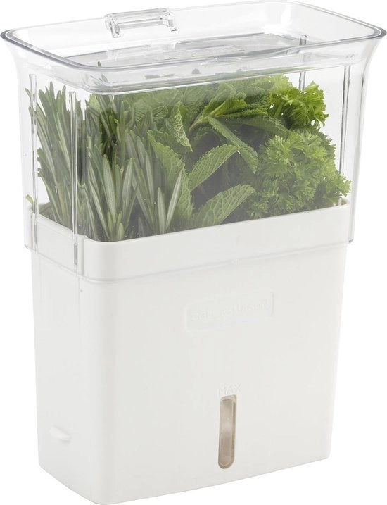Contenitore per erbe fresche, box per erbe da taglio, erbe da cucina, acrilico