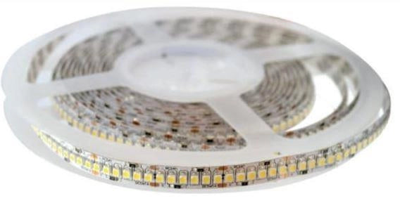STRIPLED BOBINA DA 5 MT 24W/MT 6000K  24V IP20