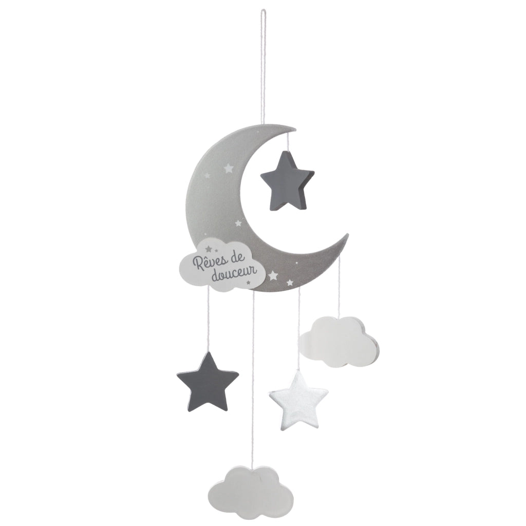 ACCHIAPPASOGNI CON LUNA       GRIGIO Grigio