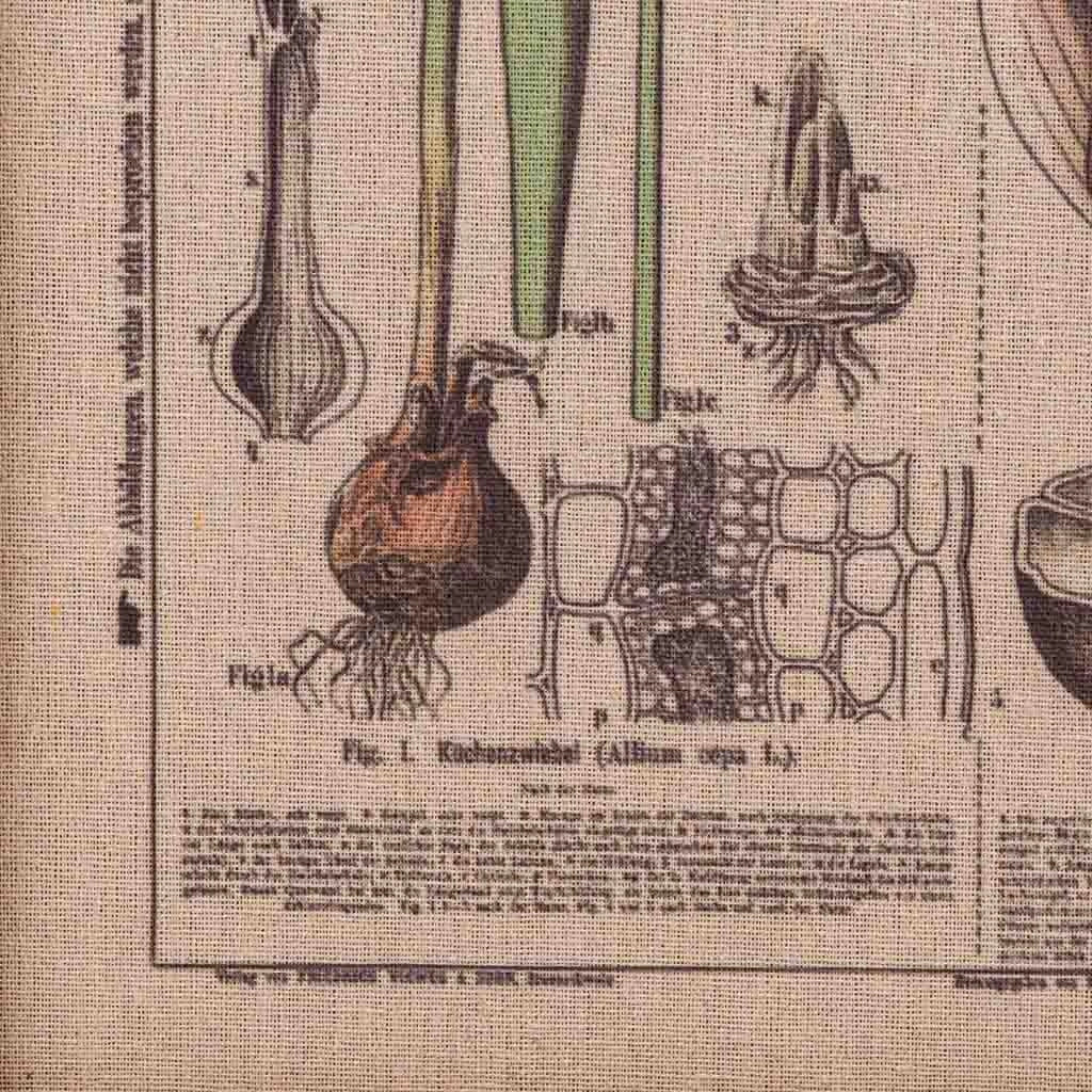 Cornice in legno e tessuto stampato