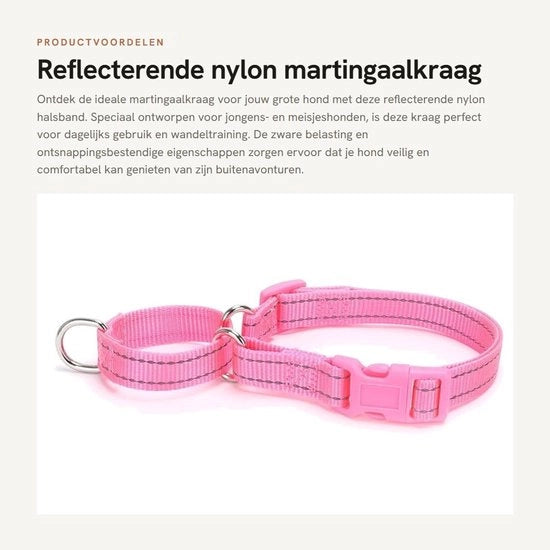 Collare per Cani con Reflettori - Resistente allo Sfilamento - Adatto per Grandi Razze - Dimensione S (Cervello 30-45 cm) - Larghezza 1,5 cm