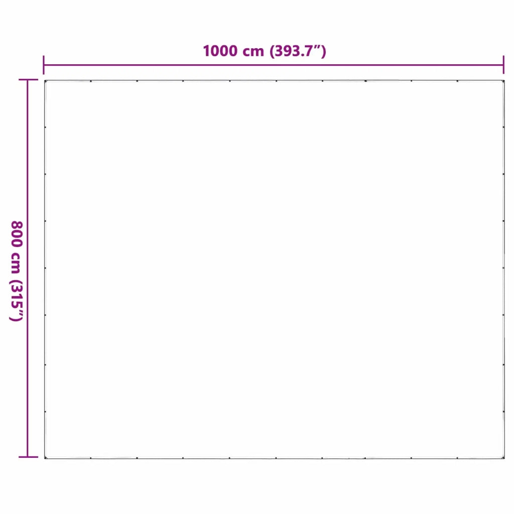Copertura per Piante Trasparente 8 x 10 m PE 3429293