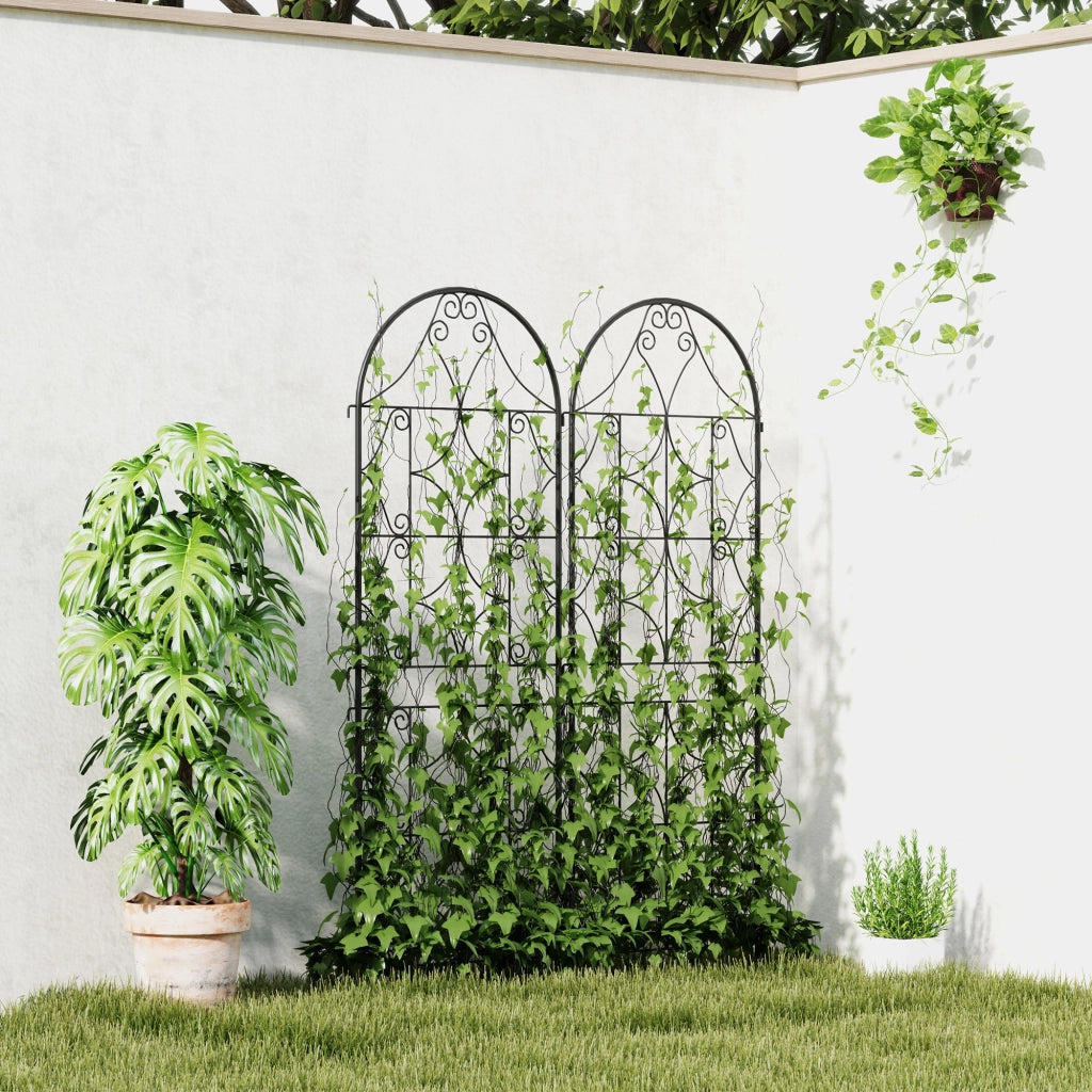 Supporto piante rampicanti ¨C Minimal ¨C 2 pezzi metallo 50x150 cm nero