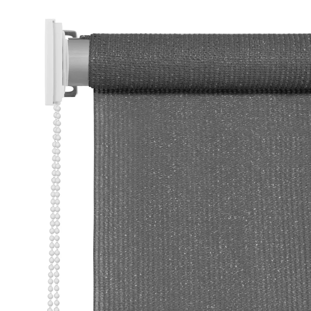 Tenda a Rullo per Esterni 125(L)x230(A) cm Antracite 43494