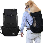 Borsa per gatti