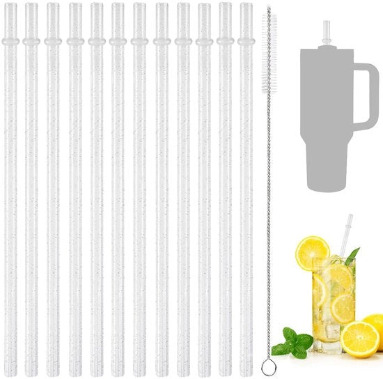 12 Stuks Rietti in Plastica Brillante Riciclabili - 31,5 cm Rietti Transparenti con Set di Spazzole per Pulizia