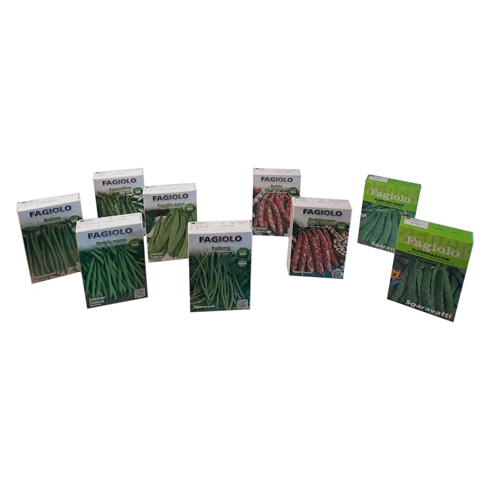 Semi per Fagioli Fagiolo Nano Corallo Sgaravatti 250 Gr