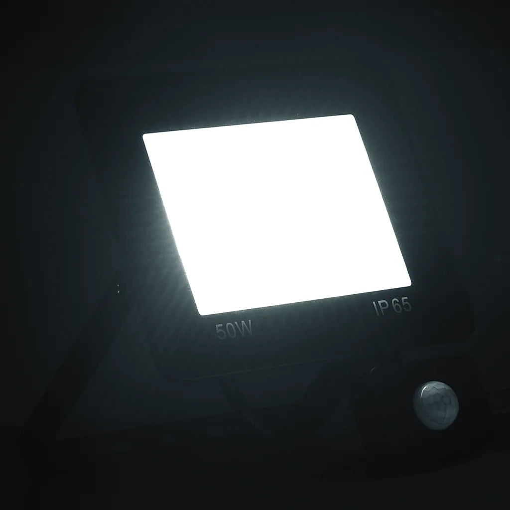 Faretto a LED con Sensore 50 W Bianco Freddo 149631